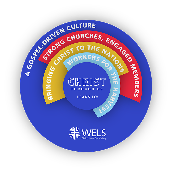 LRSP-wheel-pic