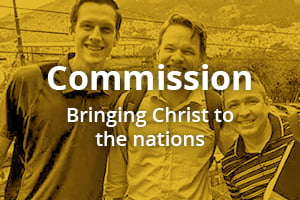 LRSPweb-Priorities-Commission