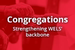 LRSPweb-Priorities-Congregations